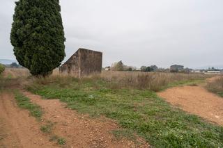 Terreny residencial a Vial camino 33a. Finca plana cerca de la población y con pozo propio