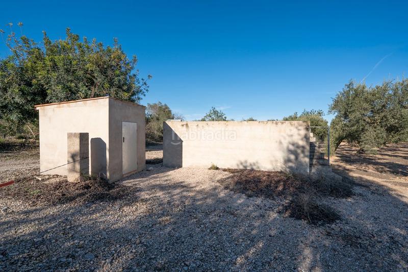 Foto 17141f16-8b4e-4f33-8b2a-0607eb6a1674. Finca rústica a plaça de l'alto 1b a Santa Bàrbara