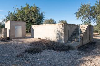 Finca rústica a Plaça de l'alto 1b. Finca de regadio con balsa, plantada de olivos y algarrobos