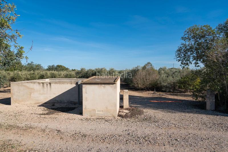 Foto 548939f6-b234-48e8-bbb4-4dc3fa4e2475. Finca rústica a plaça de l'alto 1b a Santa Bàrbara