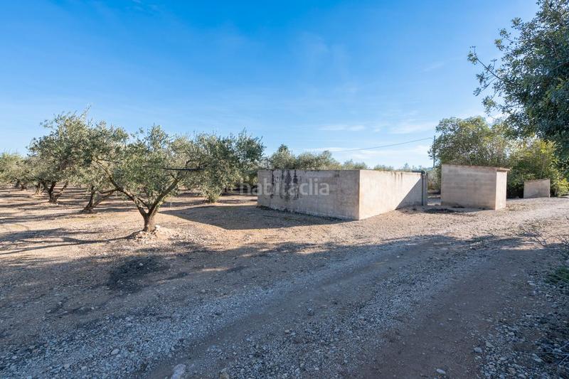 Foto bf25a8bf-1409-4733-b09d-4ed35fe79928. Finca rústica a plaça de l'alto 1b a Santa Bàrbara