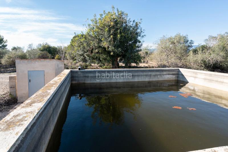 Foto faafa0c6-d668-4504-835e-900c04c73a88. Finca rústica a plaça de l'alto 1b a Santa Bàrbara