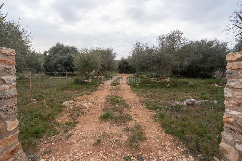 Foto 81a13191-9013-40b1-a414-a154dd079e81. Landgut in Ulldecona