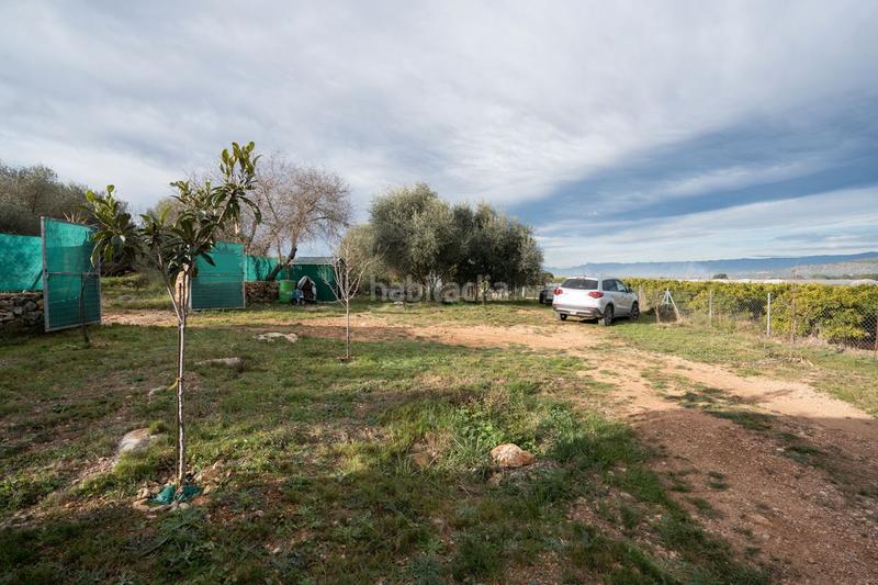 Foto a74253d6-3570-4001-81d1-c304ef314aca. Landgut in Ulldecona