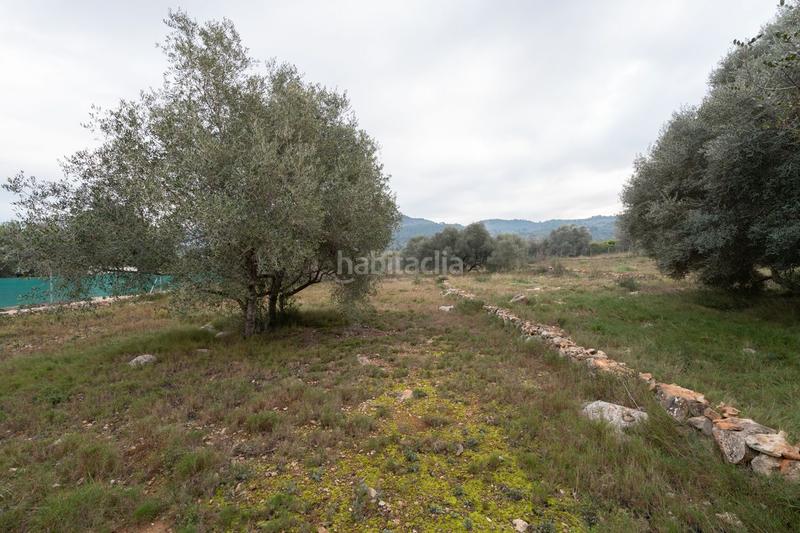 Foto b770c95e-10a5-4f6e-9a35-c274638e8c0a. Landgut in Ulldecona