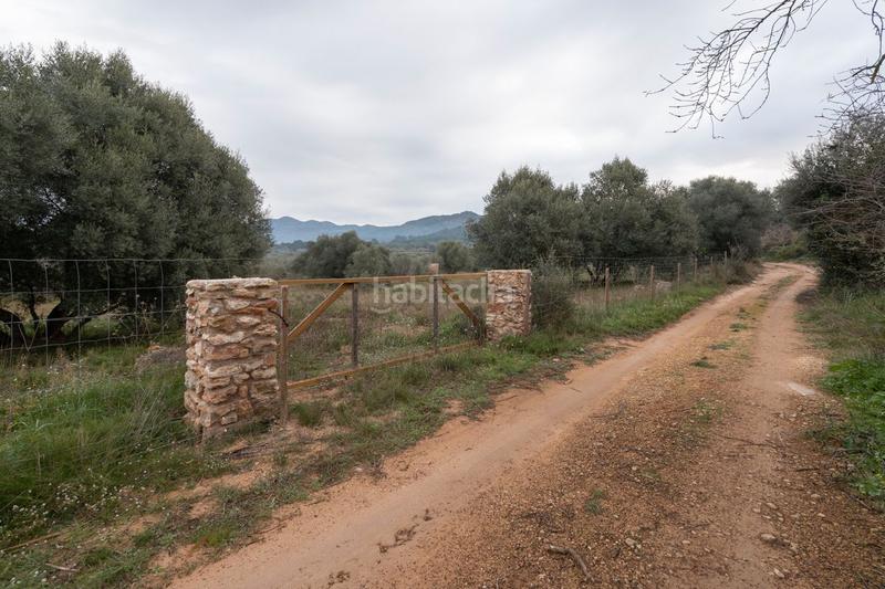 Foto cb1a1879-6283-4b63-90be-eb93cd7e556d. Landgut in Ulldecona