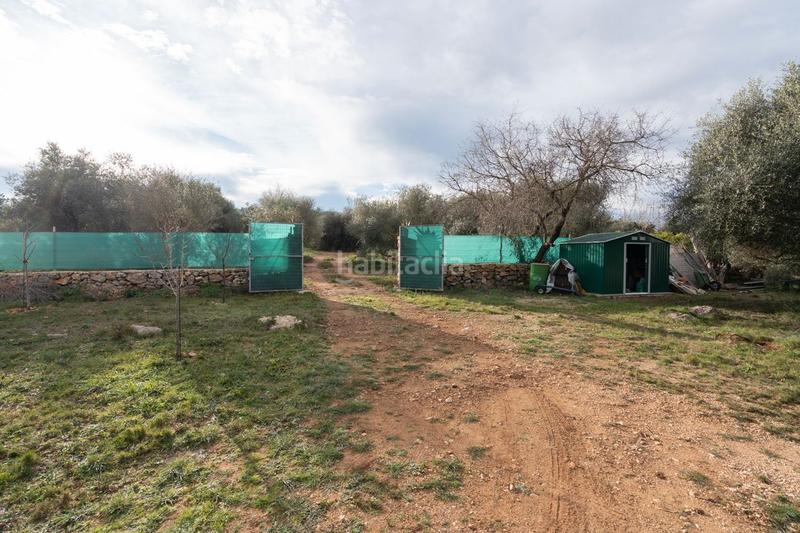 Foto e8f127f5-a1d6-4fc3-82da-f6323e26176c. Landgut in Ulldecona