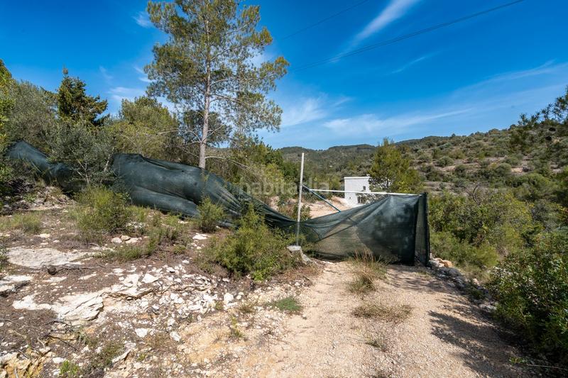 Foto a74b52fe-ae5b-4aaf-906b-26b50f1e746b. Country house in rambla felip pedrell 50 in Centre Tortosa