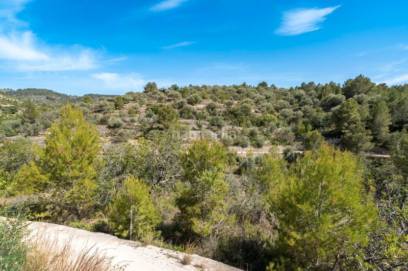 Foto b3d1ce31-7388-4d52-b7e6-cead7c5444e5. Country house in rambla felip pedrell 50 in Centre Tortosa