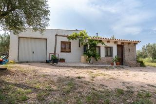Masia a Cam de pocateula 21. Finca rstica con casa de campo y almacn. agua de fuente natura