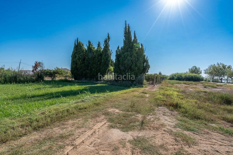 Foto 162716f2-5883-4d7d-ad7d-8e19821fcb57. Propriété dans Deltebre