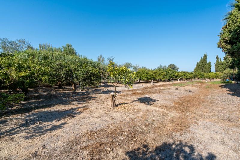 Foto 16f0ebfc-85b5-48da-81d7-63b147cd2a56. Propriété dans Deltebre