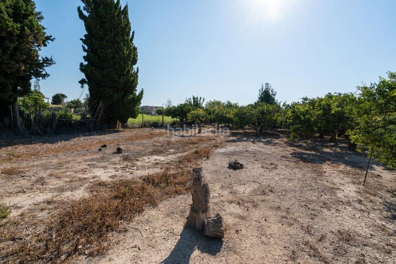 Foto 22dfb1d2-2f8e-4069-ba3f-51c21dada08d. Propriété dans Deltebre