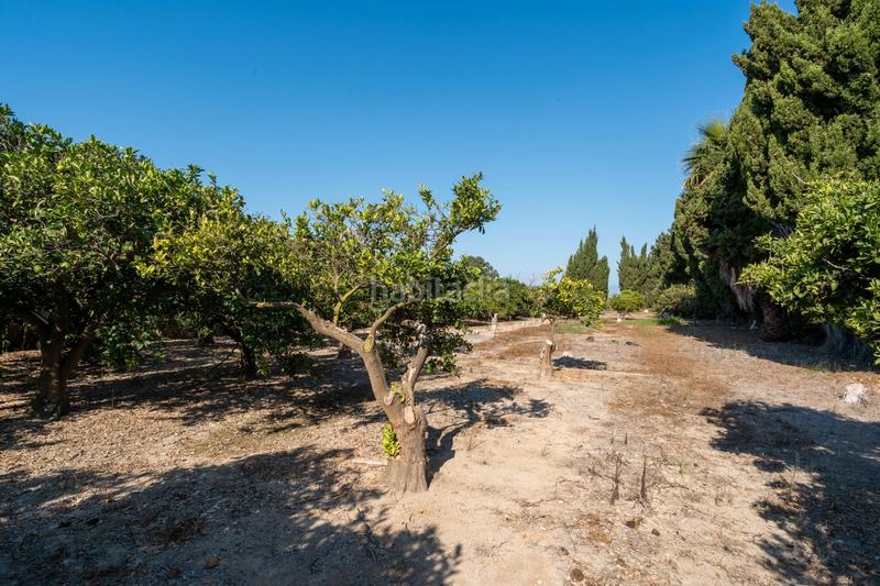 Foto 840f428f-e404-4306-90af-08d9be0d7e27. Propriété dans Deltebre