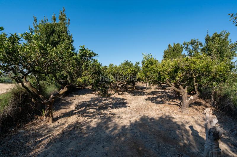 Foto 8689b9ff-cc05-4c3c-9f57-0501822ca1fe. Propriété dans Deltebre