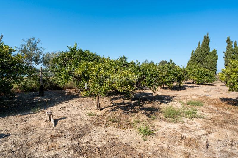 Foto 8c6e9bf5-7f2d-4928-815b-b10d30af0949. Propriété dans Deltebre