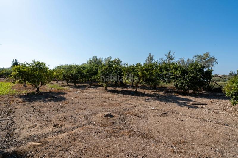 Foto 91470ca7-5dcf-4e88-bf0a-c53707e349e6. Propriété dans Deltebre