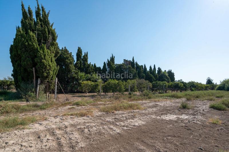 Foto aaf730b1-e016-401b-9d6b-0781983f32f0. Propriété dans Deltebre