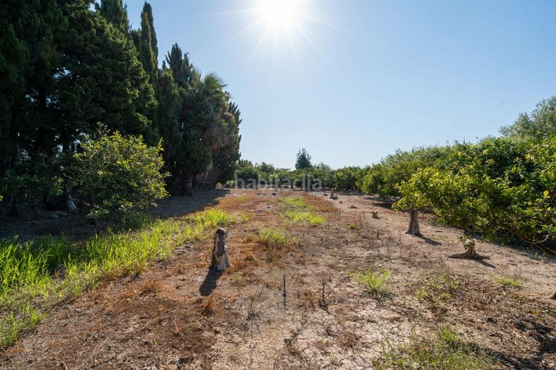 Foto b7e29baf-4bf6-40e2-ba16-90db476a1dc8. Propriété dans Deltebre