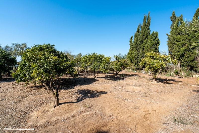 Foto f5b8b210-8624-4548-b7dd-95b1ef66485e. Propriété dans Deltebre