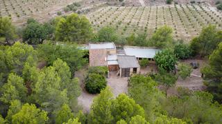 Finca rústica a Roquetes. Finca rústica plana con construcciones. balsa de agua y pozo en