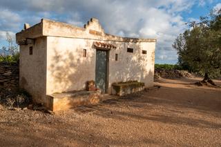 Rural plot in Galera (La). Finca de olivos con caseta de aperos y agua de riego