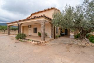 Chalet in Jesús - Els Reguers. Finca con casa para entrar a vivir