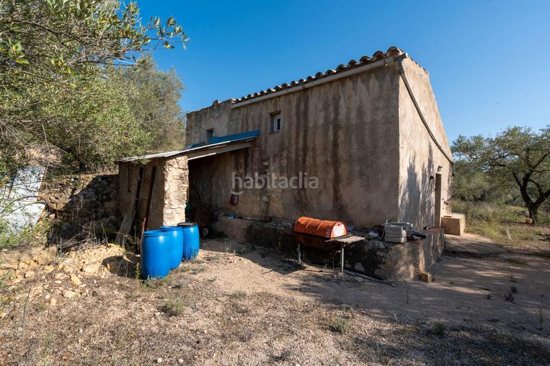 Foto 109ce8d5-af68-4bf9-88a5-e592719db602. Rural plot in Centre Tortosa