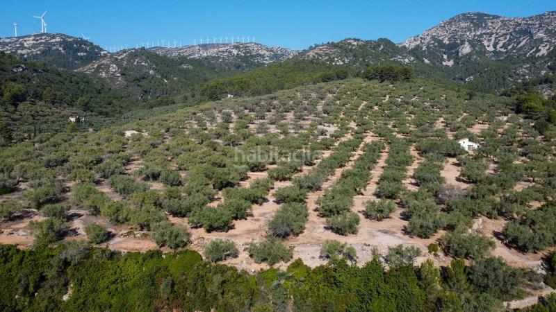 Foto 137e30fa-650a-431a-90ef-1fc97c26504e. Rural plot in Centre Tortosa