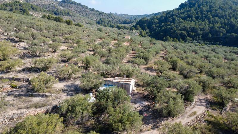 Foto 1a0a8e7d-04e4-44e0-beb5-f860099e28f9. Rural plot in Centre Tortosa