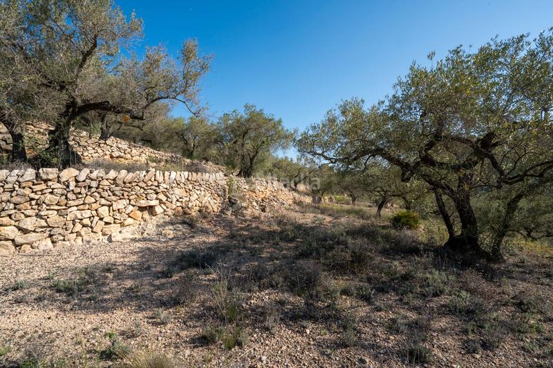 Foto 1f30710f-30ae-451e-a1e9-6a625d62df58. Rural plot in Centre Tortosa