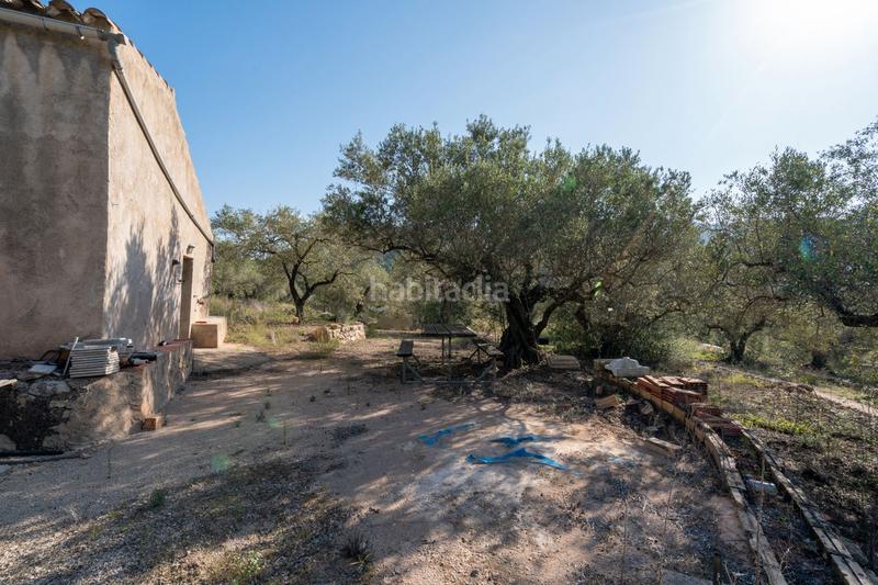 Foto 56640887-63f5-4016-b5c2-8ba922c10a7d. Rural plot in Centre Tortosa
