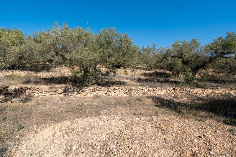 Foto 811c1d0e-43b6-446a-bade-4b302a8b4528. Rural plot in Centre Tortosa