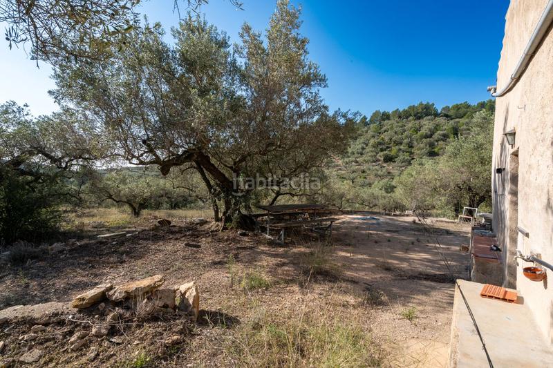 Foto 823c8c30-2b79-4acf-ac32-10faa69dc8a1. Rural plot in Centre Tortosa