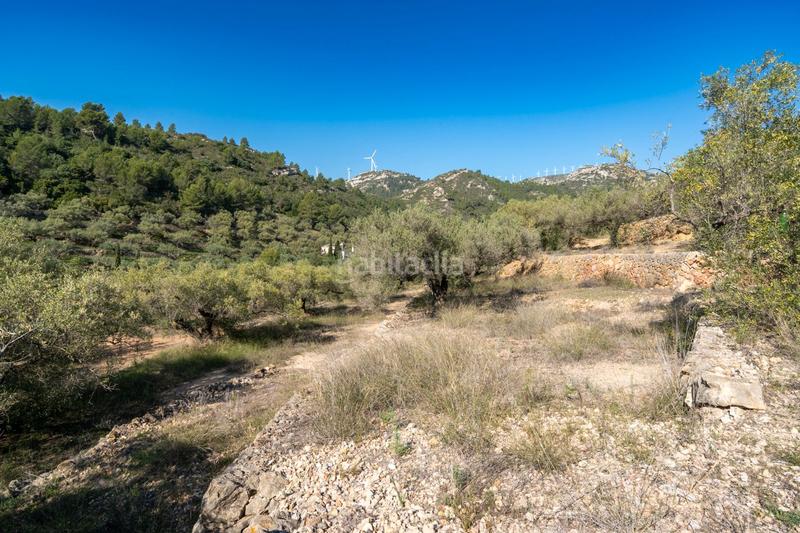 Foto 83c3dc76-4045-4f0f-932e-07e8b506dd16. Rural plot in Centre Tortosa