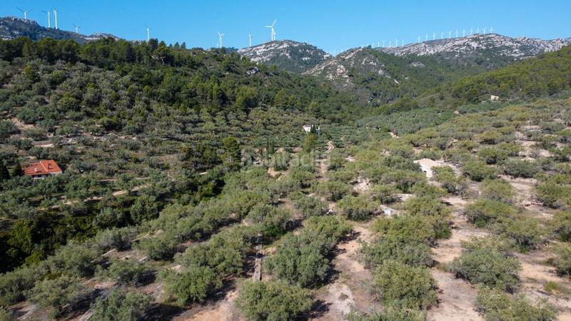 Foto 8cb60217-7ad4-4bdb-9450-fa768ffc903f. Rural plot in Centre Tortosa