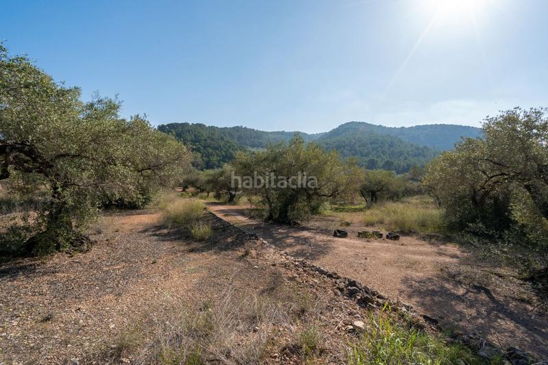 Foto 90222d53-0dba-4ed7-9fae-45ef214c146c. Rural plot in Centre Tortosa