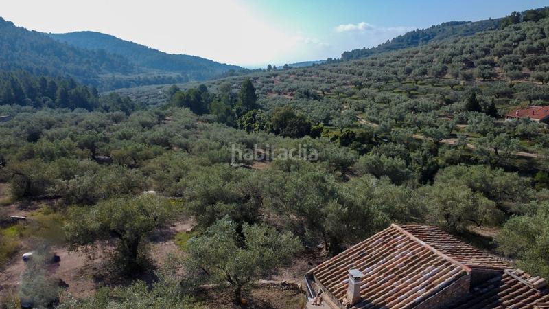 Foto cd81a42a-973e-4e01-b1c6-e23addb38d30. Rural plot in Centre Tortosa