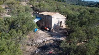 Finca rústica a Centre. Gran finca de olivos con casa de campo