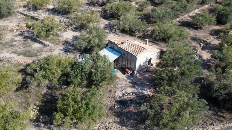 Foto e9b316d4-3b5a-4262-a58b-549ac7ab5144. Rural plot in Centre Tortosa