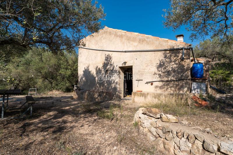 Foto ec3fc276-0a33-467b-a32a-85626e8708f5. Rural plot in Centre Tortosa