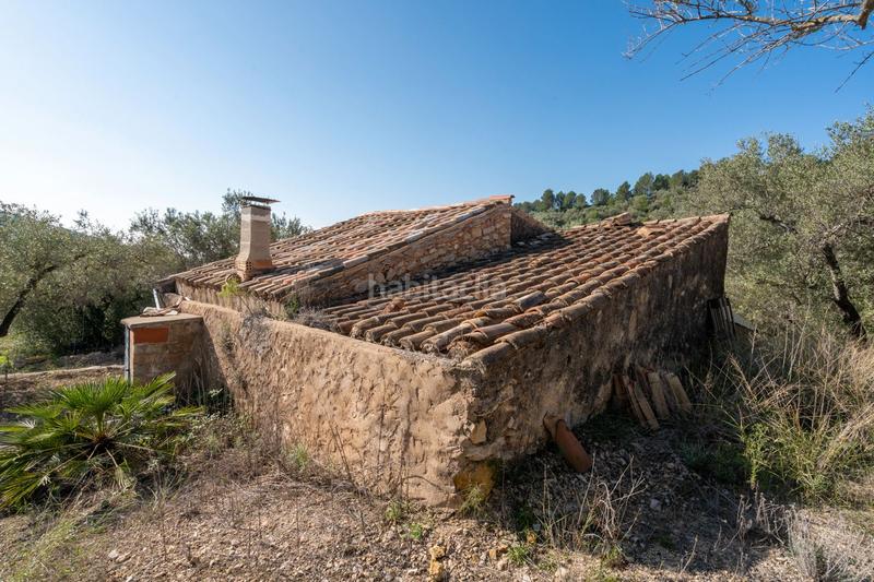 Foto f1bafe0b-ea33-490d-8d9d-ce790abac1e2. Rural plot in Centre Tortosa