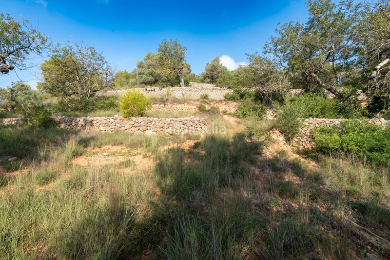 Foto 03d8dc47-69e2-4205-add4-9ea8f035d3cb. Country house in camí del barranc de la llet 26 in Tortosa