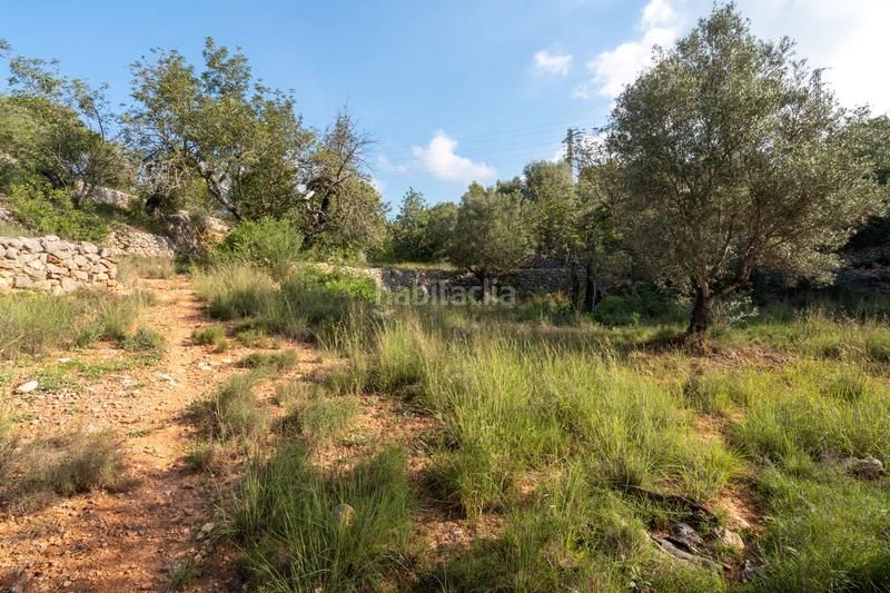 Foto e588084b-40c3-4df7-a601-c849a81ba9dc. Country house in camí del barranc de la llet 26 in Tortosa