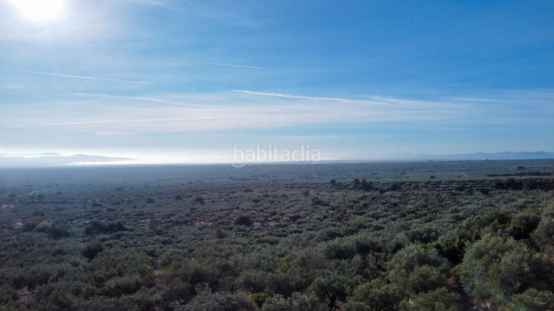 Foto 04d79b12-d928-4033-b8c2-2ef07fef29df. Propriété dans Mas de Barberans