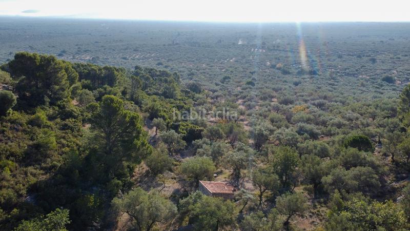 Foto 1edcd2be-0970-48d9-aa95-028d7d92c0a0. Propriété dans Mas de Barberans