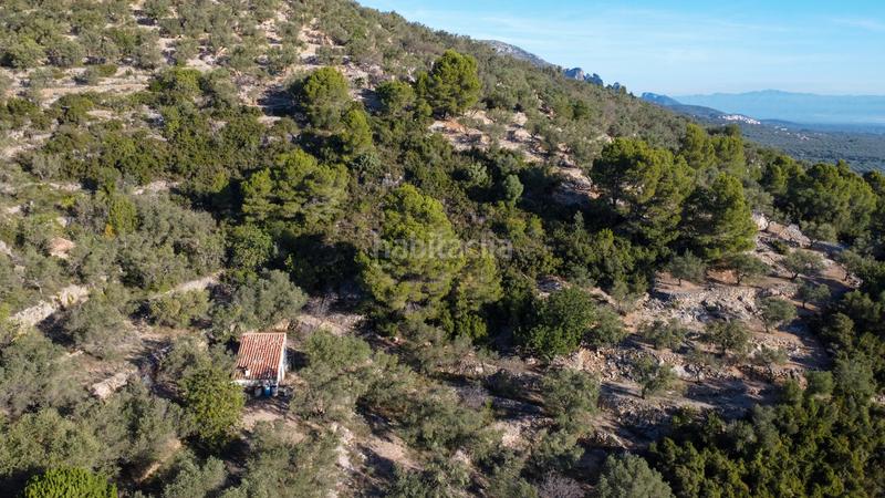 Foto 2313620e-b4b0-45ae-bec9-d825881e3387. Propriété dans Mas de Barberans