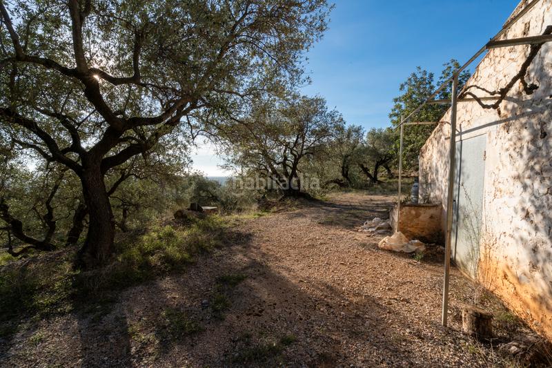 Foto 24cdf05b-86df-4a52-8bc6-d6c66402dd51. Propriété dans Mas de Barberans