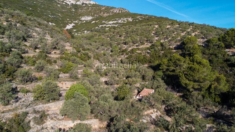 Foto 3b50f422-2032-440a-9012-d5d303891077. Propriété dans Mas de Barberans