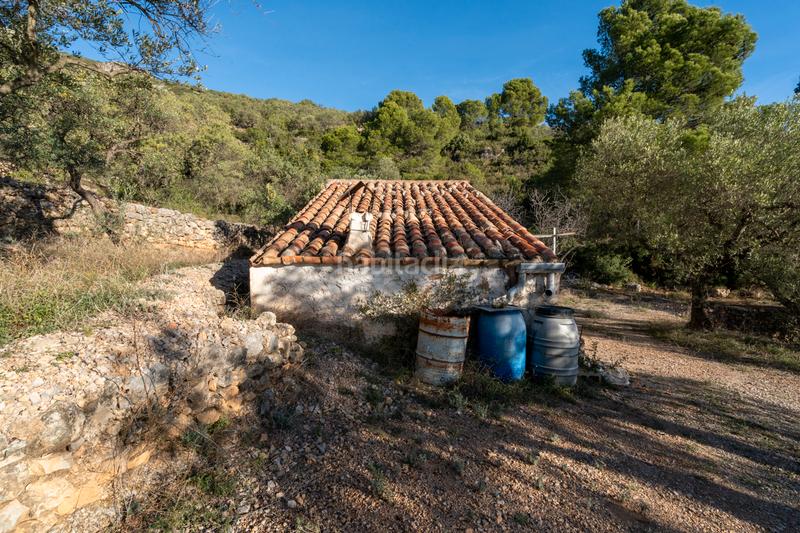 Foto 48e27060-5425-4a0a-a6ca-18a9d7d9ab39. Propriété dans Mas de Barberans